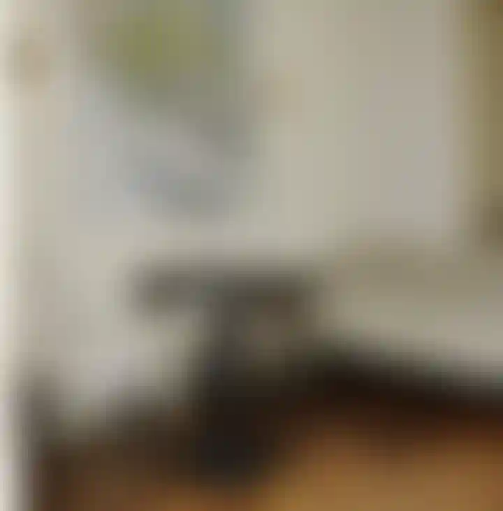 Неоклассика