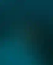 Отражение новой жизни