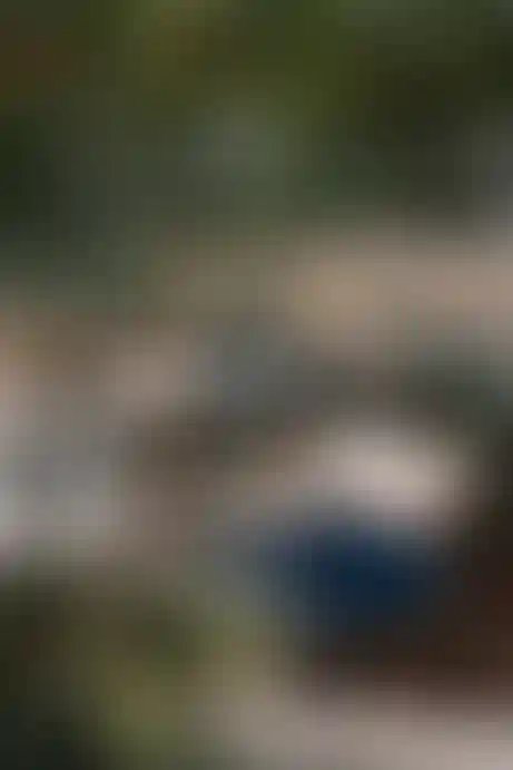 <p>2 ресторана</p>